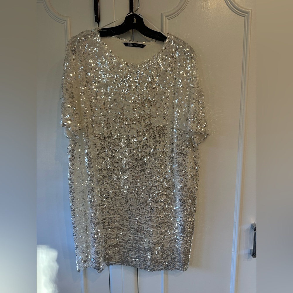 Zara Silver Sequin Dress